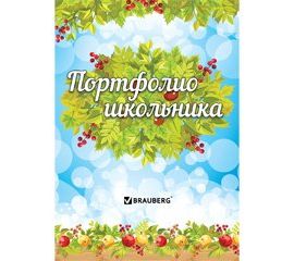 Портфолио
