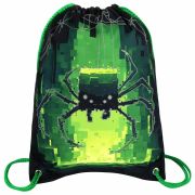 Мешок для обуви BRAUBERG PREMIUM, карман, подкладка, светоотражайка, 43х33 см, «Digital spider», 273444