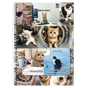 Стикербук ПРОСТО НАКЛЕЙ А6, 16 листов, 96 цветных стикеров, на гребне, BRAUBERG, «Коты мемы», 666050