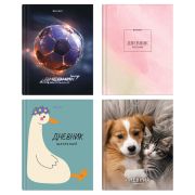 Дневник 5-11 класс 48 л., твердый, BRAUBERG, глянцевая ламинация, с подсказом, «МИКС», 107612