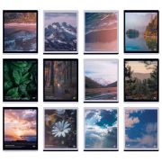 Тетради предметные, КОМПЛЕКТ 12 ПРЕДМЕТОВ, 48 л., матовая ламинация, BRAUBERG, «ПРИРОДА», 405606