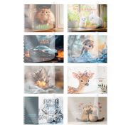 Альбом для рисования, пластиковая обложка, А4, 40 л., гребень, BRAUBERG, 210х297 мм, АССОРТИ-1 (8 видов), 107682