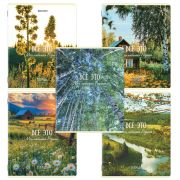 Тетрадь А5, 48 л., BRAUBERG, скоба, клетка, глянцевый лак, «Русская природа» (микс в спайке), 405651