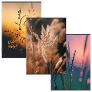 Тетрадь А4 80 л. STAFF College скоба, клетка, офсет №2 ЭКОНОМ, обложка картон, ЭСТЕТИКА, 405617