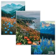 Тетрадь А4 96 л. STAFF College скоба, клетка, офсет №2 ЭКОНОМ, обложка картон, ГОРНЫЕ ЦВЕТЫ, 405621