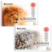 Альбом для рисования, А4, 40 листов, гребень, обложка картон, BRAUBERG, 205х290 мм, «Благородные кошки» (2 вида), 102831