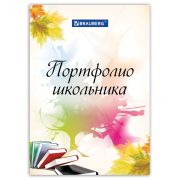 Листы-вкладыши для портфолио ШКОЛЬНИКА, 30 разделов, 32 листа, «Моё портфолио», BRAUBERG, 127550
