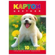 Картон цветной А4 МЕЛОВАННЫЙ, 10 листов 10 цветов, в папке, HATBER ECO, 195х290 мм, «Белый щенок», 043288, 10Кц4_03414