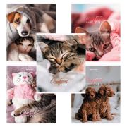 Тетрадь А5 48 л. BRAUBERG скоба, линия, обложка картон, «Питомцы» (микс в спайке), 404386