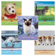 Тетрадь А5 48 л. HATBER скоба, клетка, обложка картон, «Усы, лапы, хвост» (5 видов в спайке), 48Т5В1